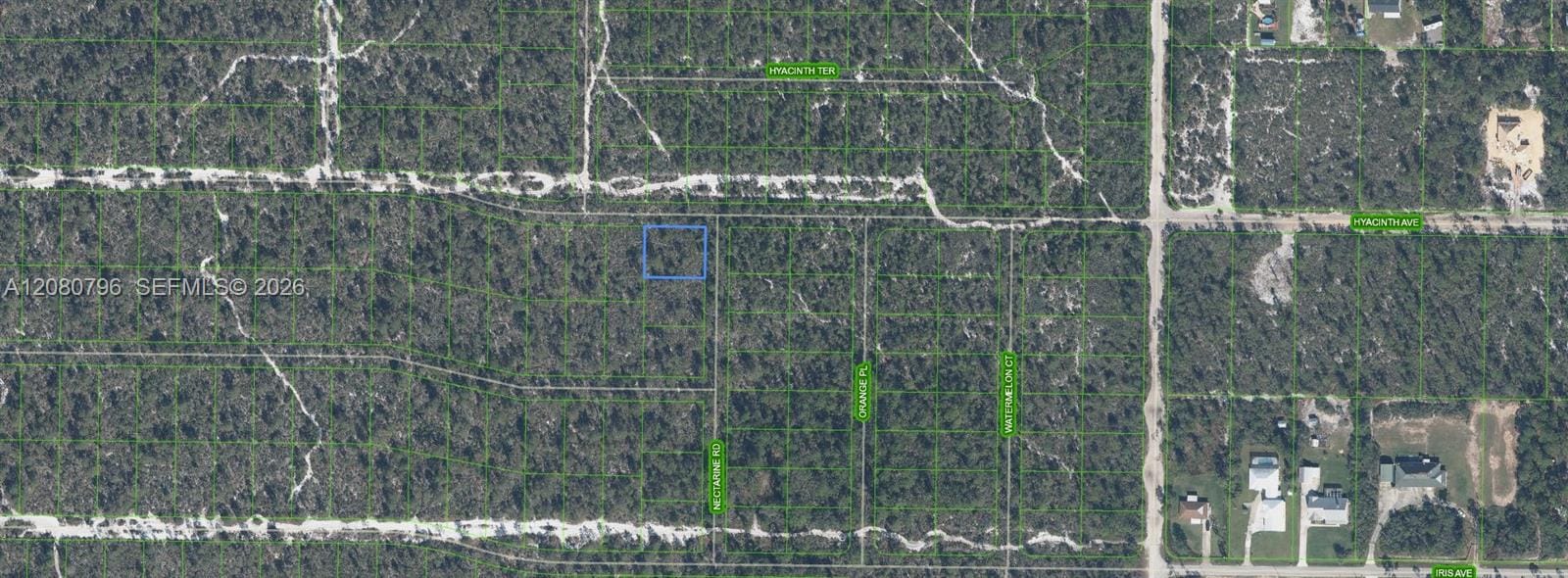 1307 Hyacinth Avenue, Sebring, FL 32303