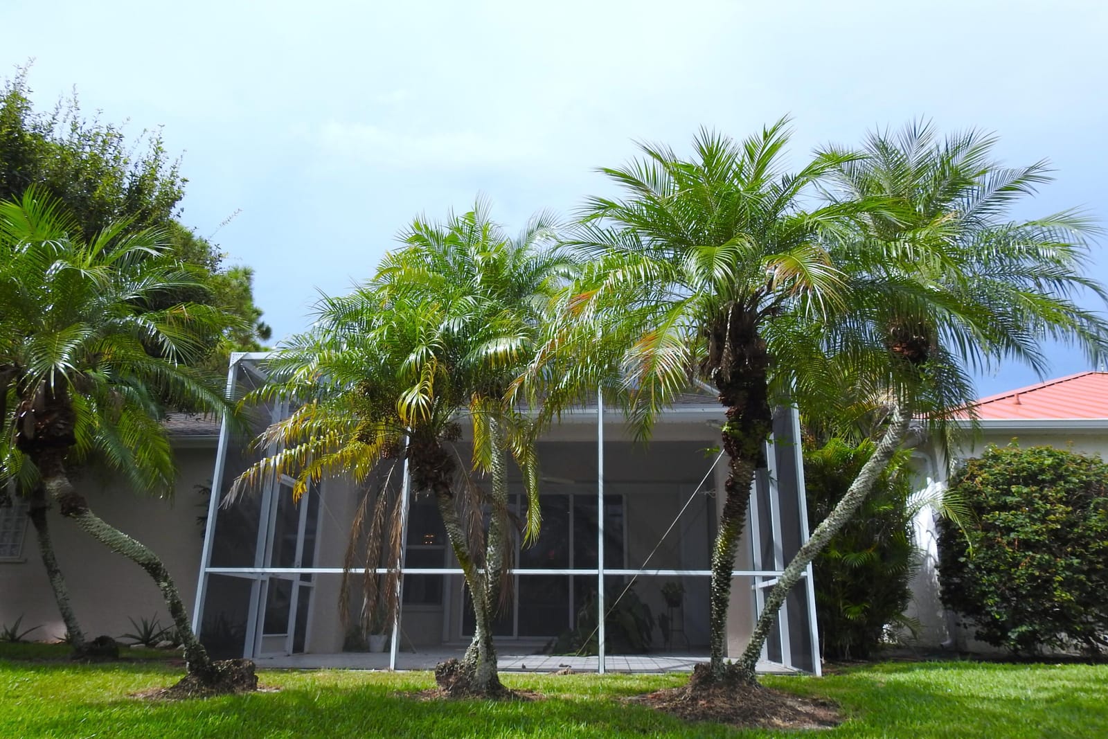 625 Venetto Court — photo 5