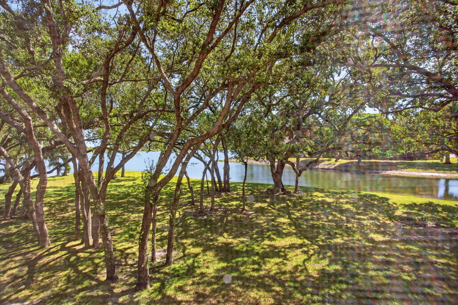 2425 NW 33rd Street NW 1309, Oakland Park, FL 33309 photo 20