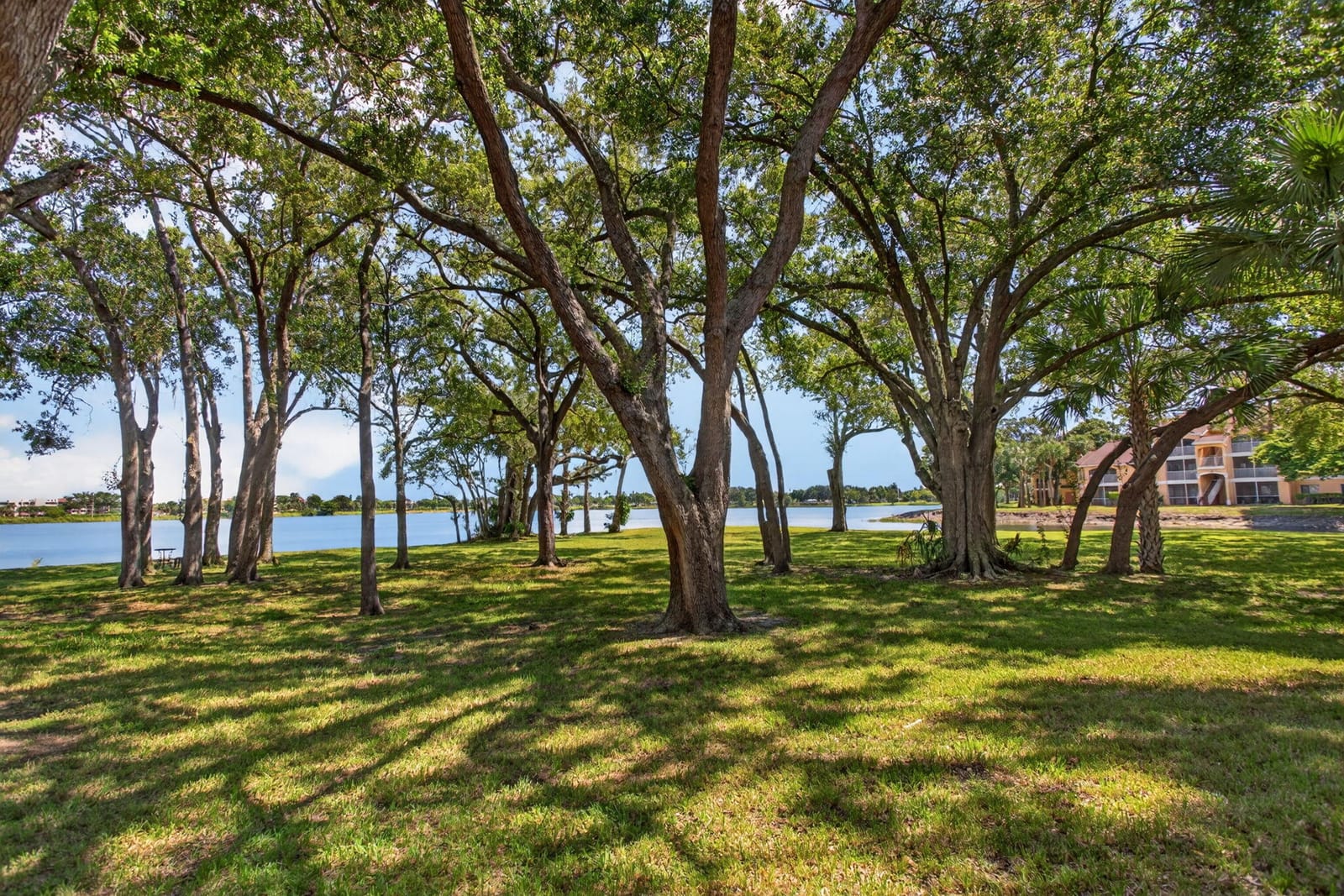 2425 NW 33rd Street NW 1309, Oakland Park, FL 33309 photo 3