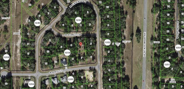 1384 W Scarlet Lane, FL 34434