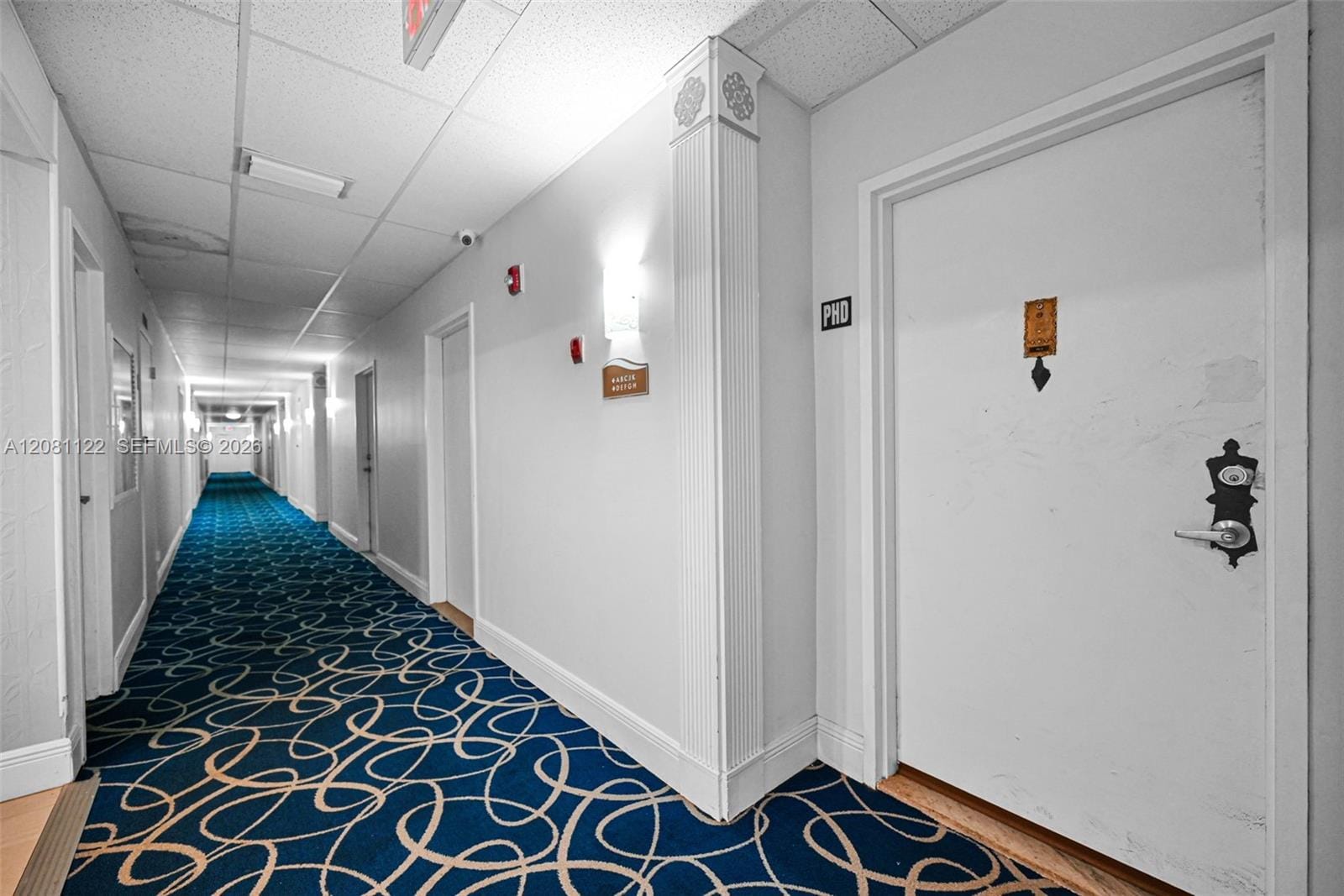 1600 S Ocean Drive PHD — photo 3
