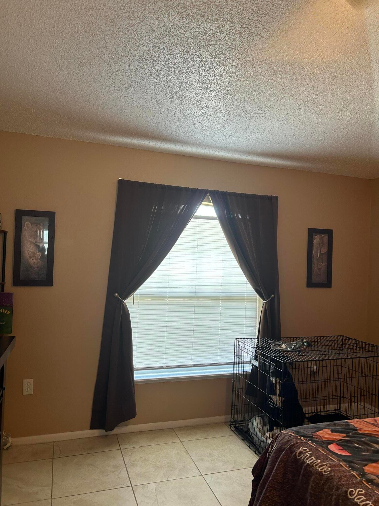 1116 ORNE Court, Kissimmee, FL 34759 photo 13