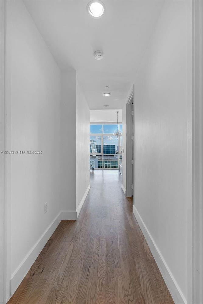 201 Aqua Avenue PH4 — photo 10