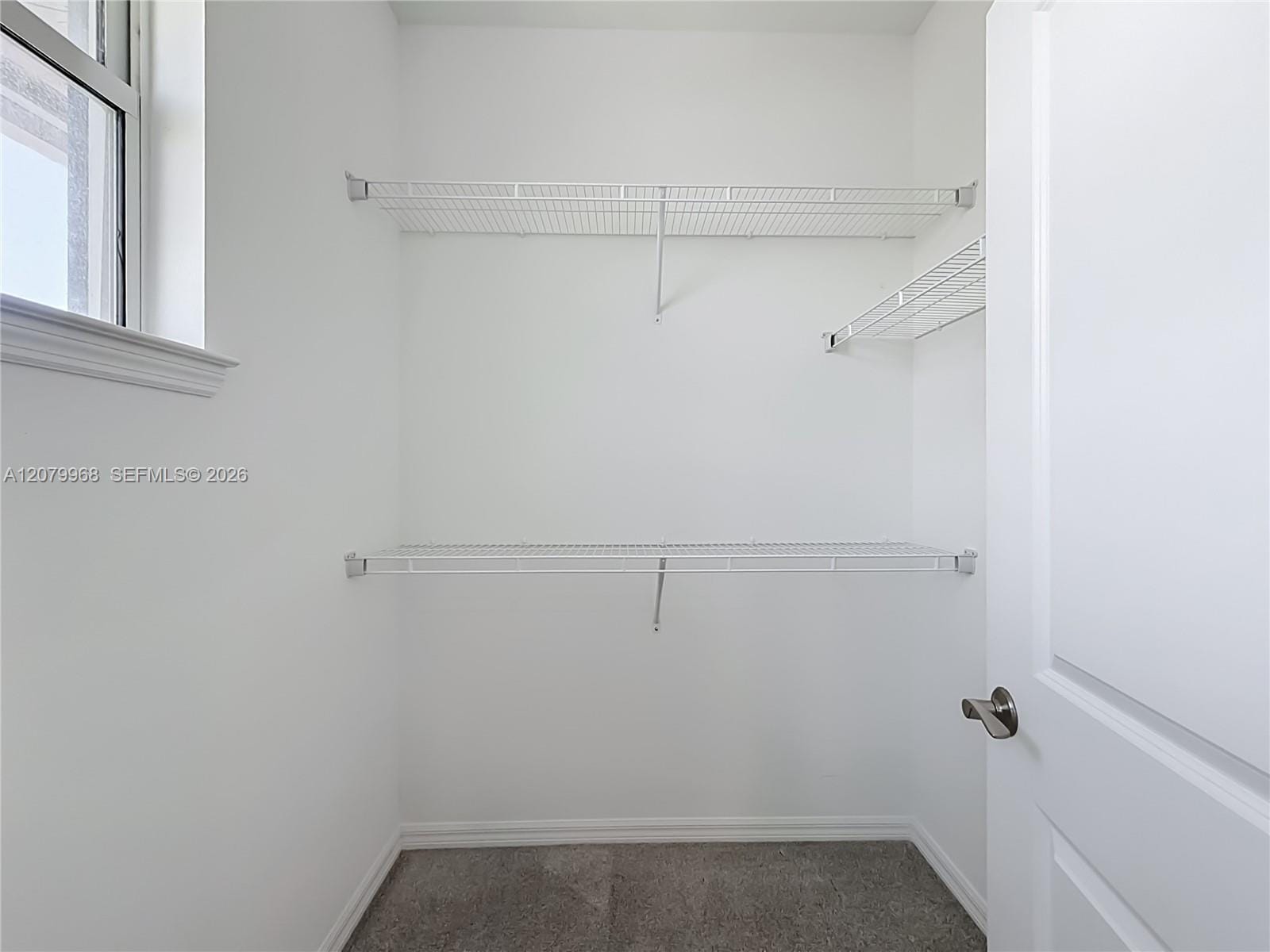 1040 Eucalyptus Drive 2, Hollywood, FL 33021 photo 20