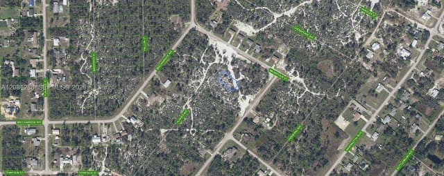 1073 Hughes Avenue, Lake Placid, FL 33852