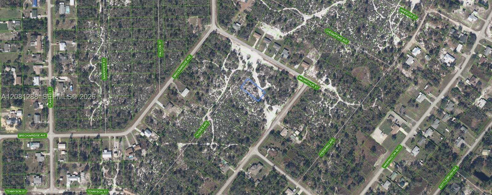 1073 Hughes Avenue, Lake Placid, FL 33852