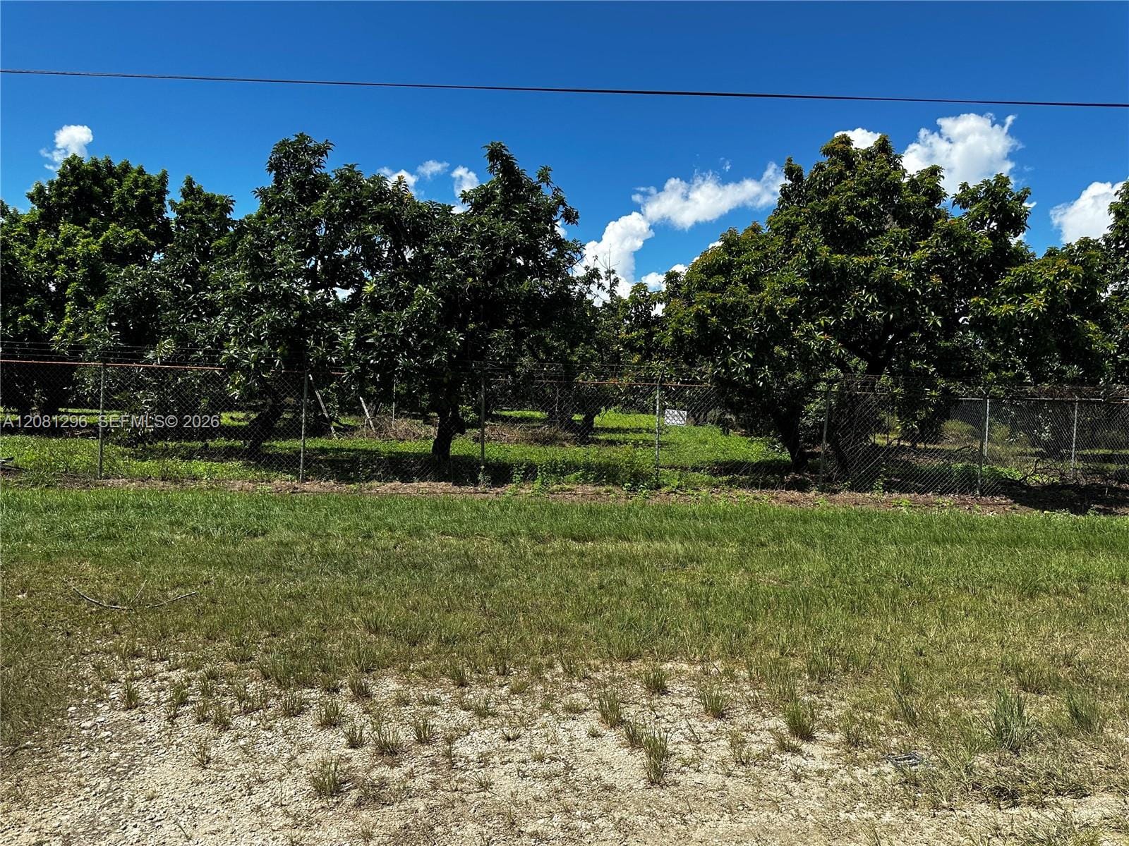 179xx SW 182 Avenue — photo 3