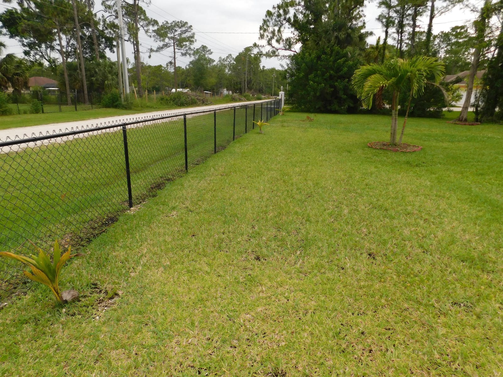 16407 80TH Street N, The Acreage, FL 33470 photo 8