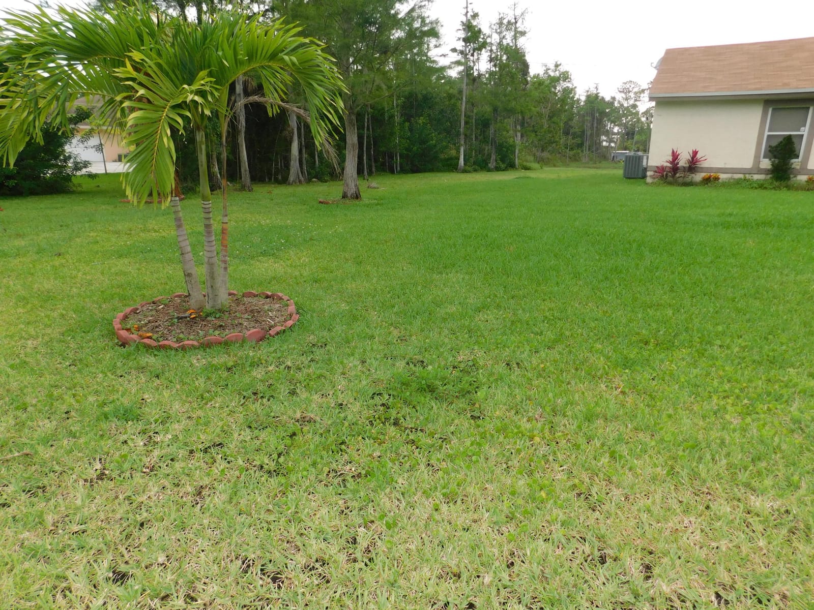 16407 80TH Street N, The Acreage, FL 33470 photo 9