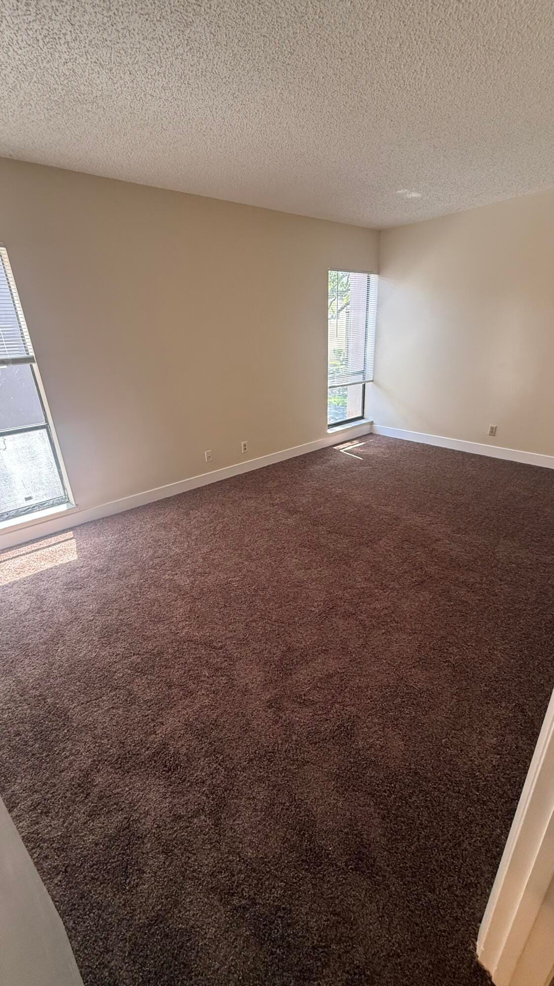 6474 Pumpkin Seed Circle 206, Boca Raton, FL 33433 photo 18