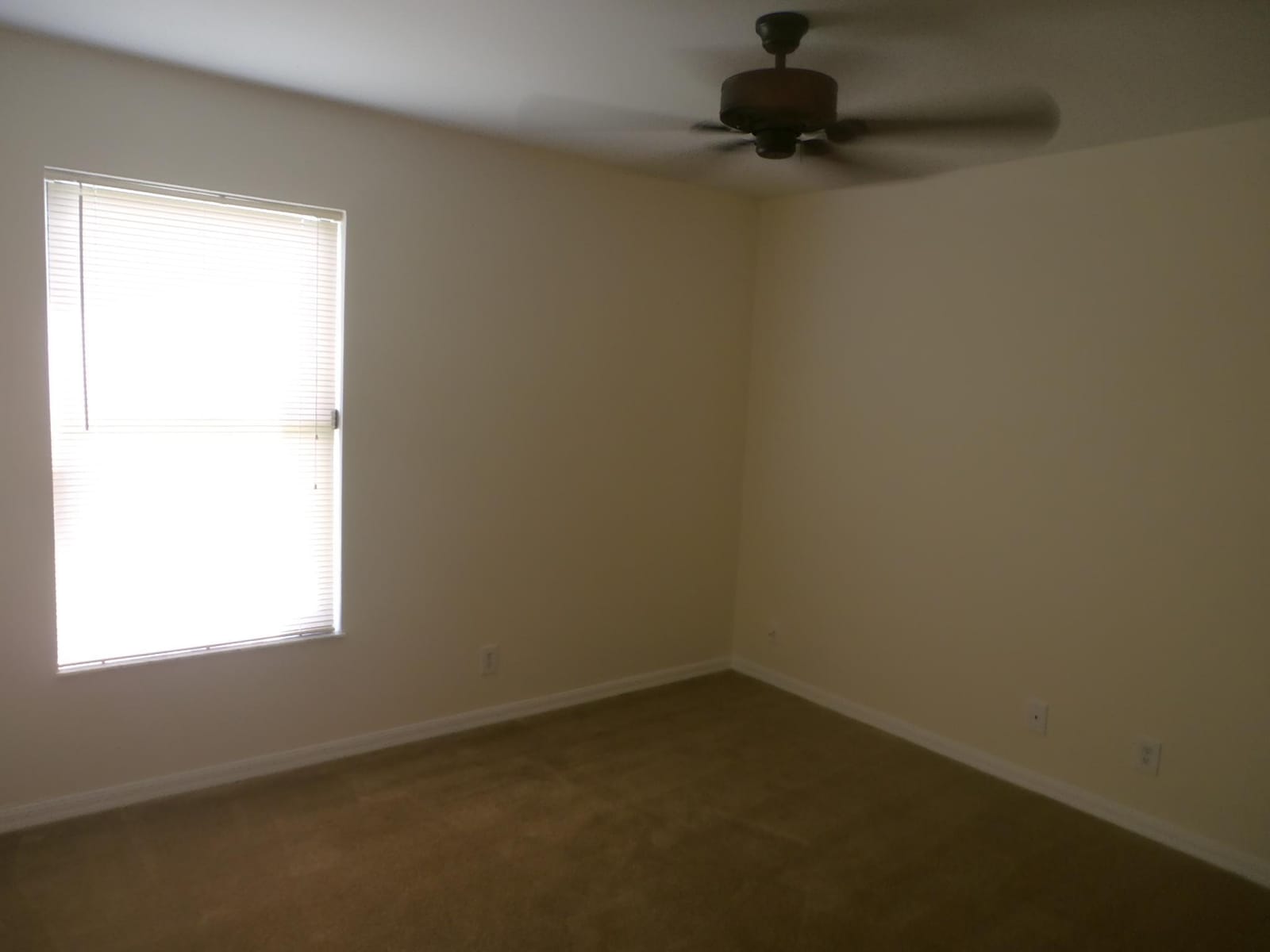 376 La Mancha Avenue — photo 7