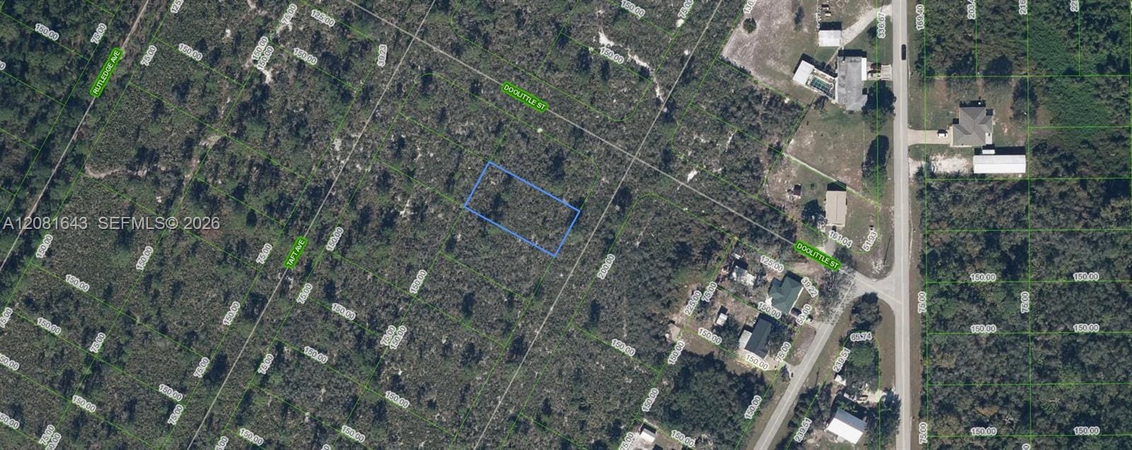 1454 Jayhawk Avenue, Lake Placid, FL 33852