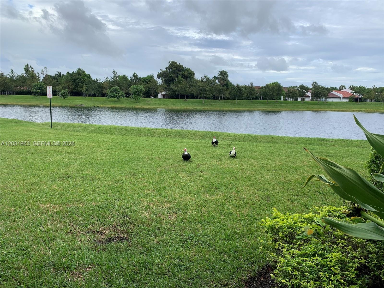 429 NE 194th Terrace 429, Miami, FL 33179 photo 22