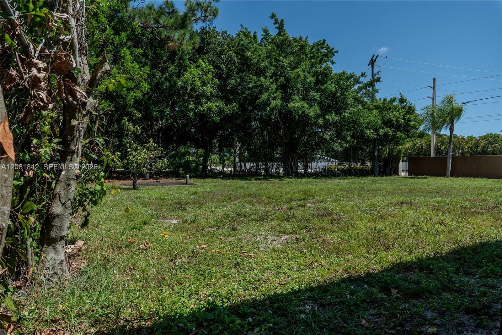 4513 Blue Pine Circle — photo 5