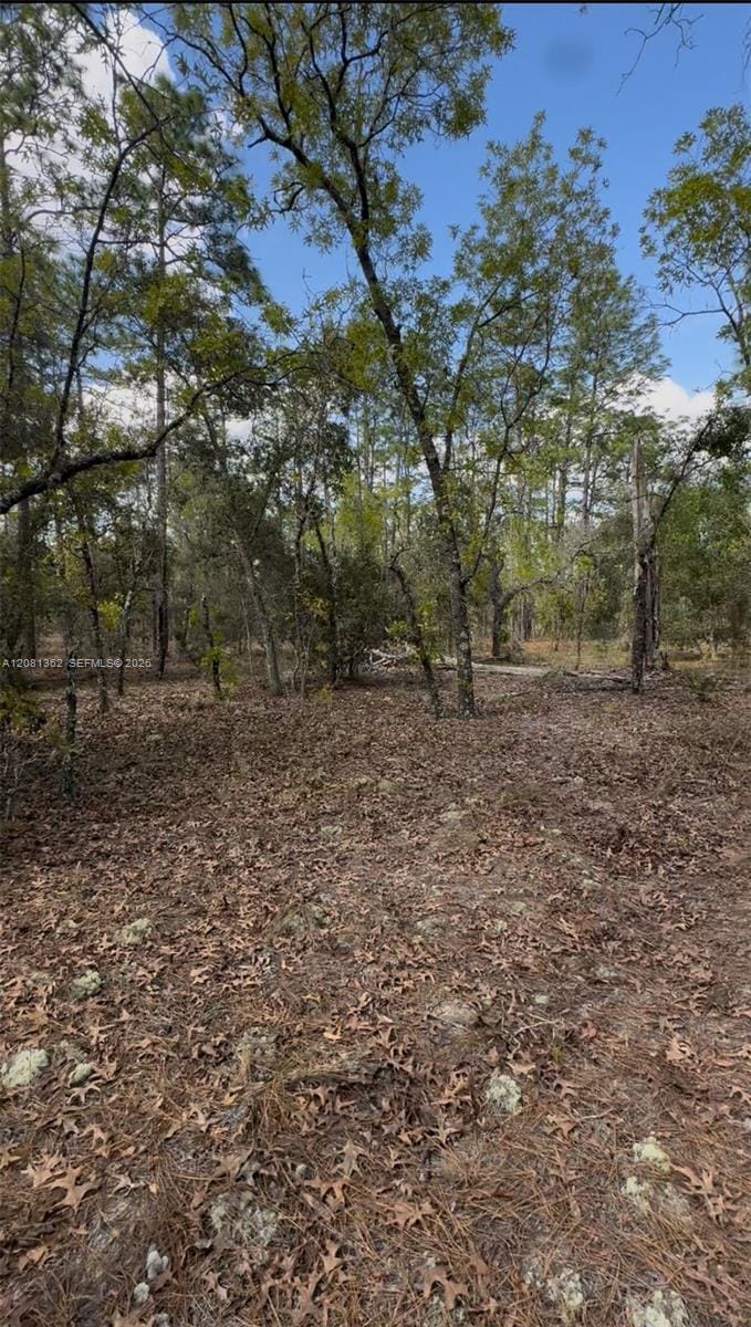 SW SW Indian Hill Drive, Ocala, FL 34431