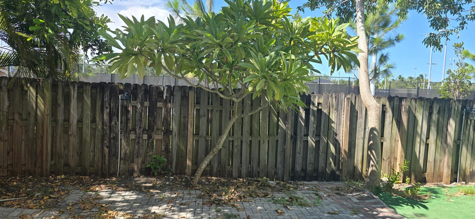 635 NE 11th Avenue, Fort Lauderdale, FL 33304 photo 24