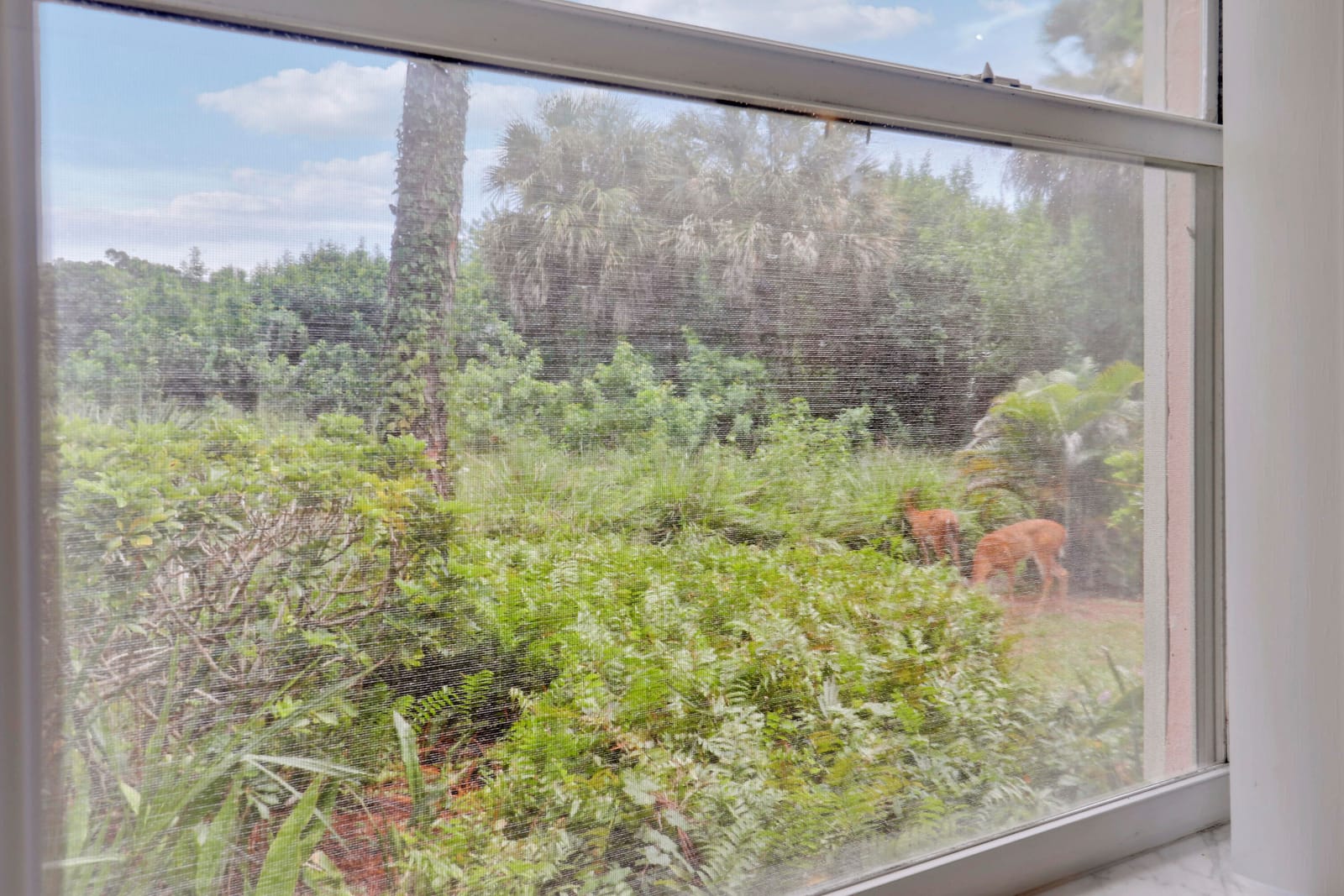 18081 SE Country Club Drive 37-361, Tequesta, FL 33469 photo 21