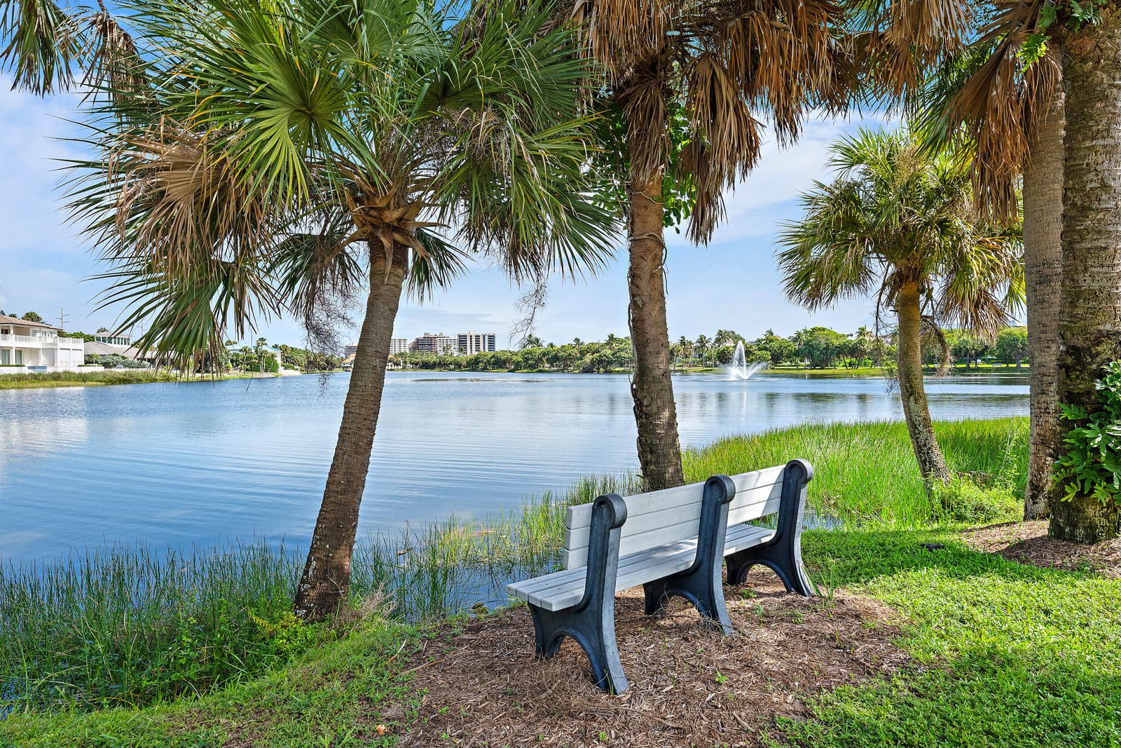 20 Celestial Way 204, Juno Beach, FL 33408 photo 16