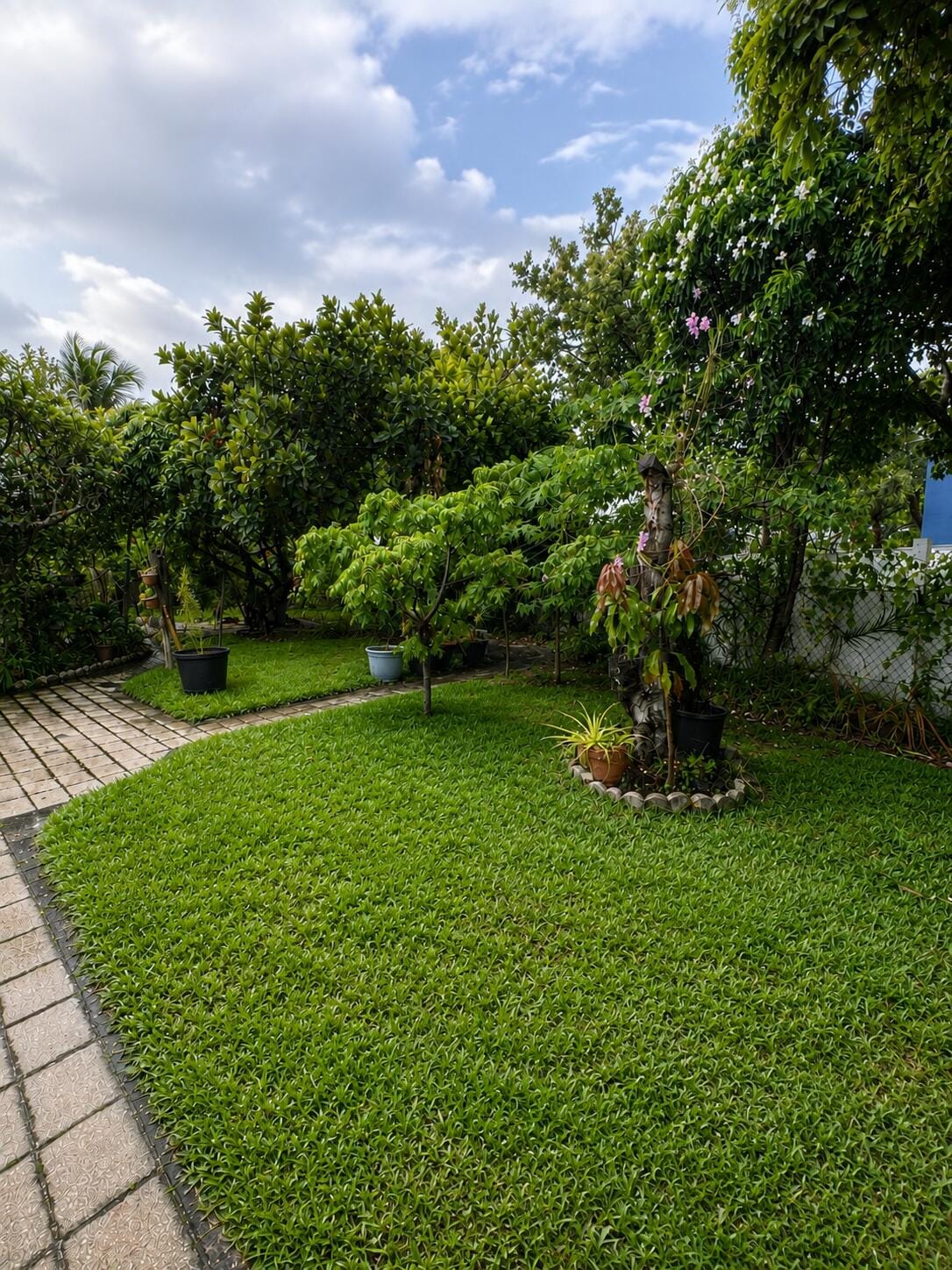 1412 SW 75TH Avenue, North Lauderdale, FL 33068 photo 23