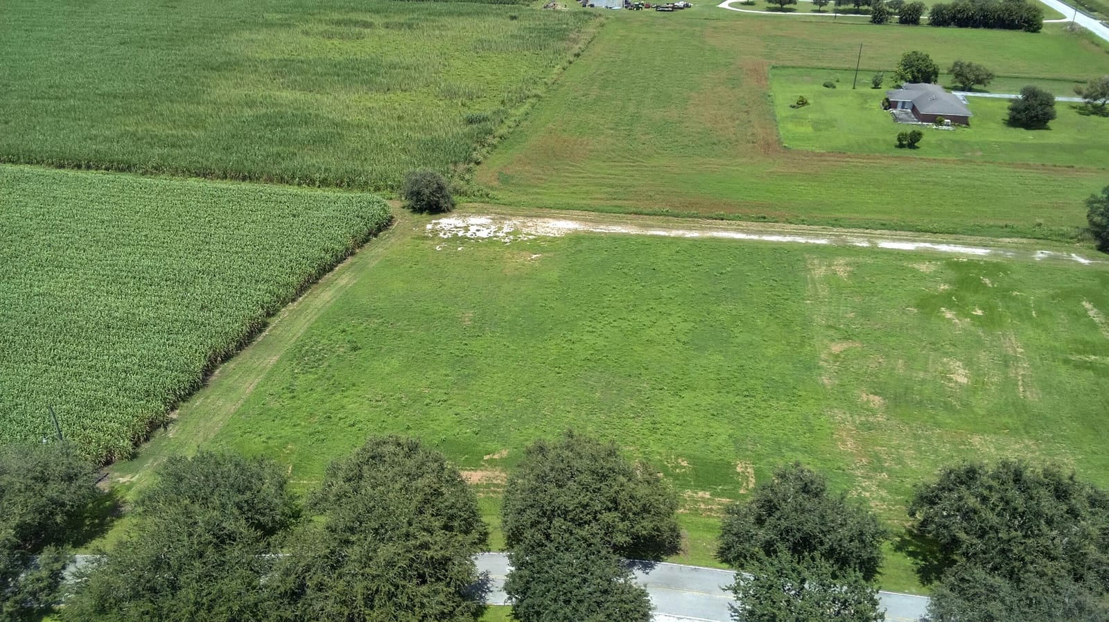 8 Congleton Drive, Belle Glade, FL 33430 photo 3