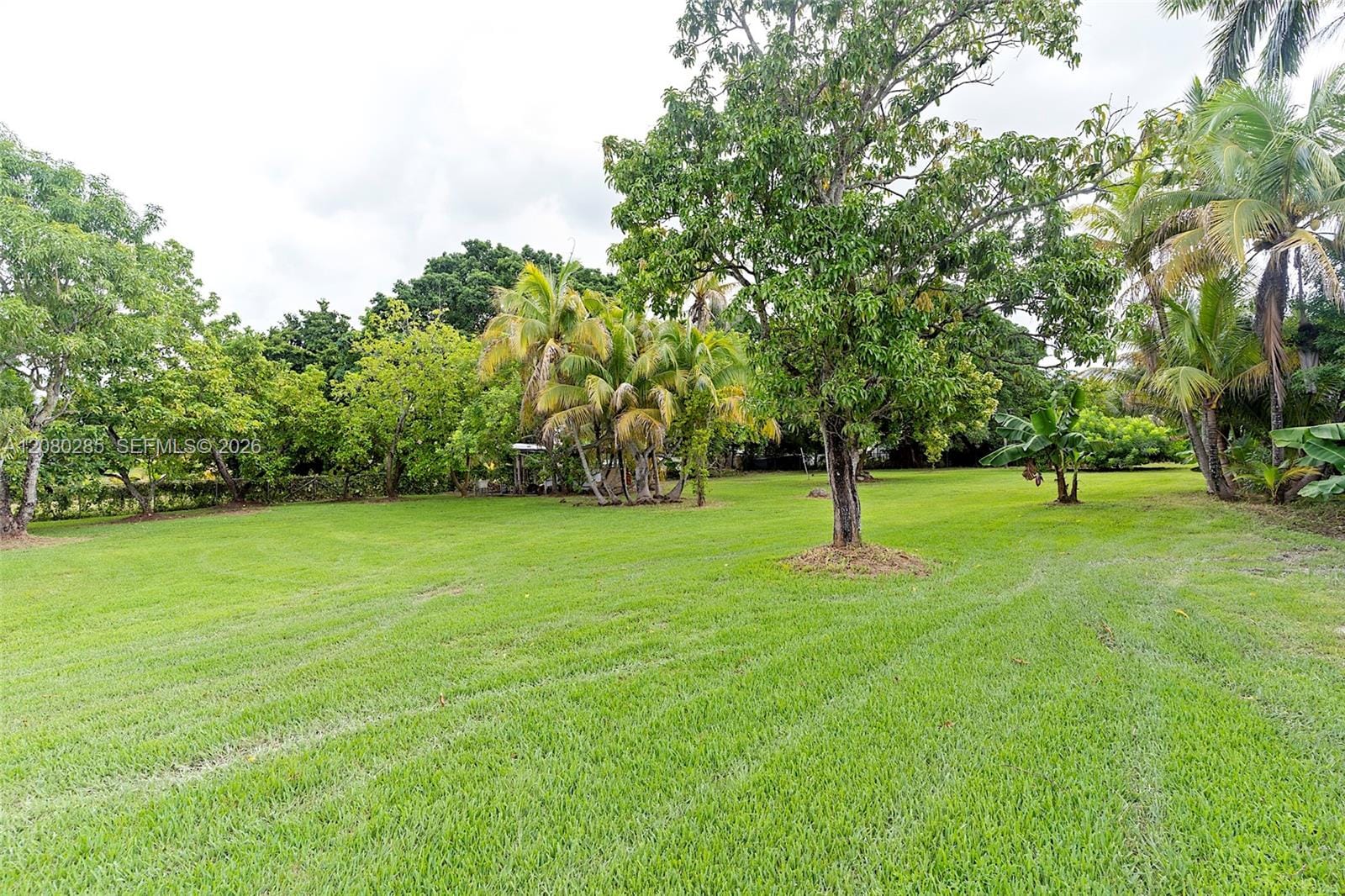 381 SW 127th Avenue, Miami, FL 33184 photo 9