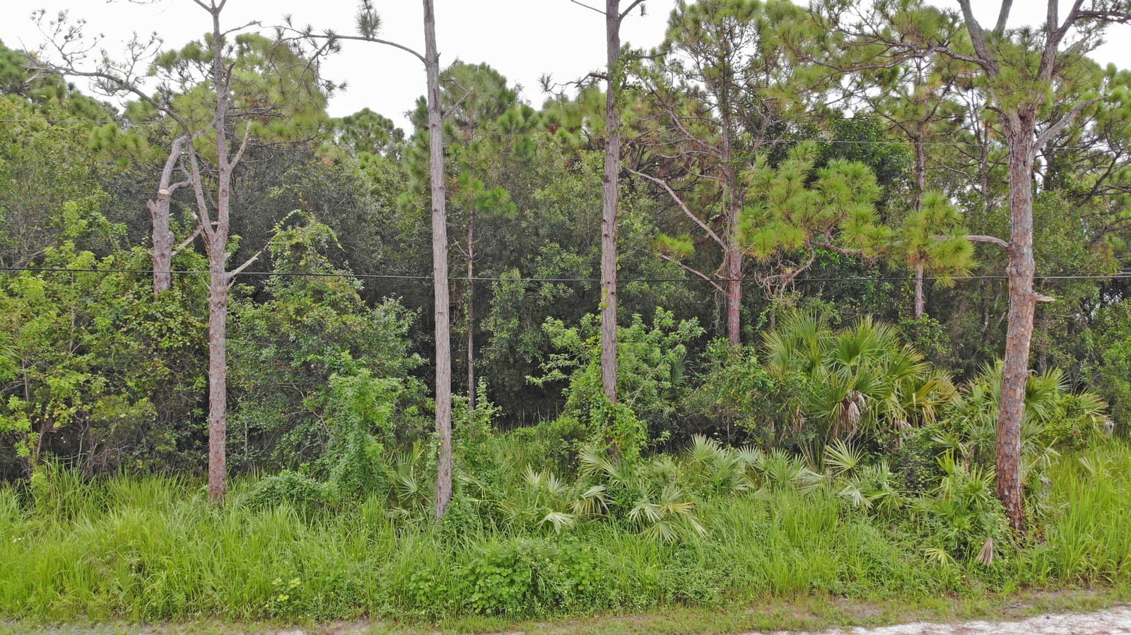 Tbd Shanas Trail, Port St. Lucie, FL 34952 photo 10