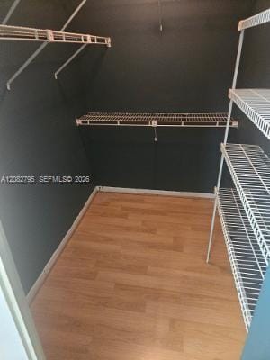 3313 S Carambola Circle S 2401 — photo 4