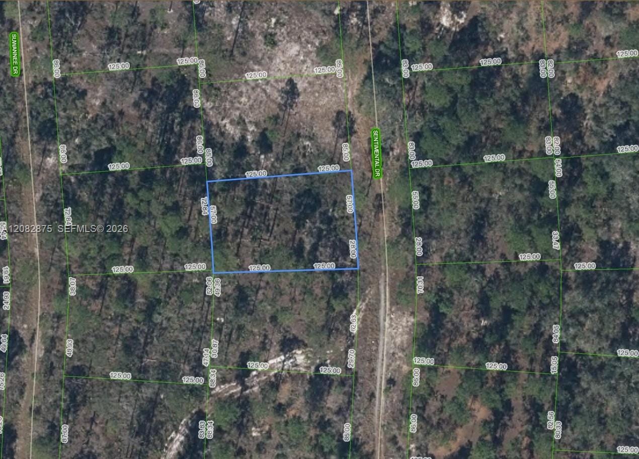 264 Sentimental Drive, Lake Placid, FL 33852