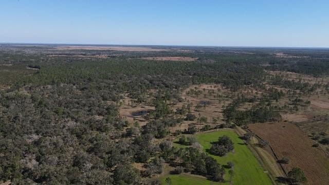 545 NEW BOOT HEEL Road, Venus, FL 33960 photo 14