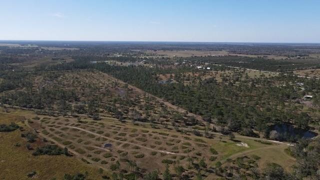 545 NEW BOOT HEEL Road, Venus, FL 33960 photo 15