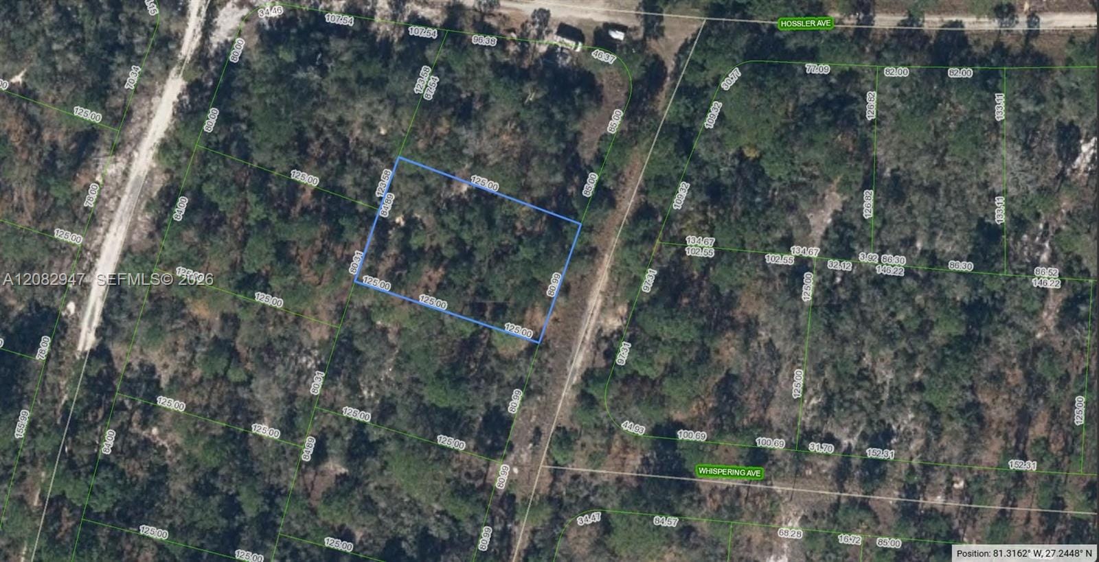 332 Sunnyside Drive, Lake Placid, FL 33852