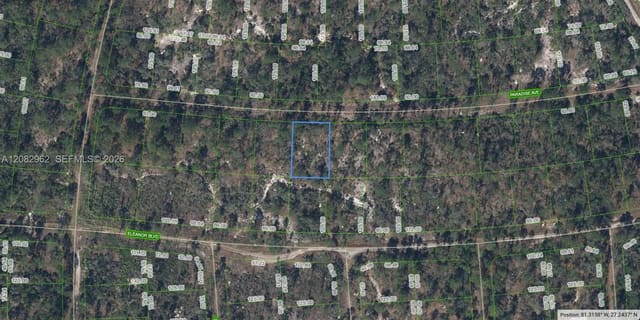 359 Paradise Avenue, Lake Placid, FL 33852