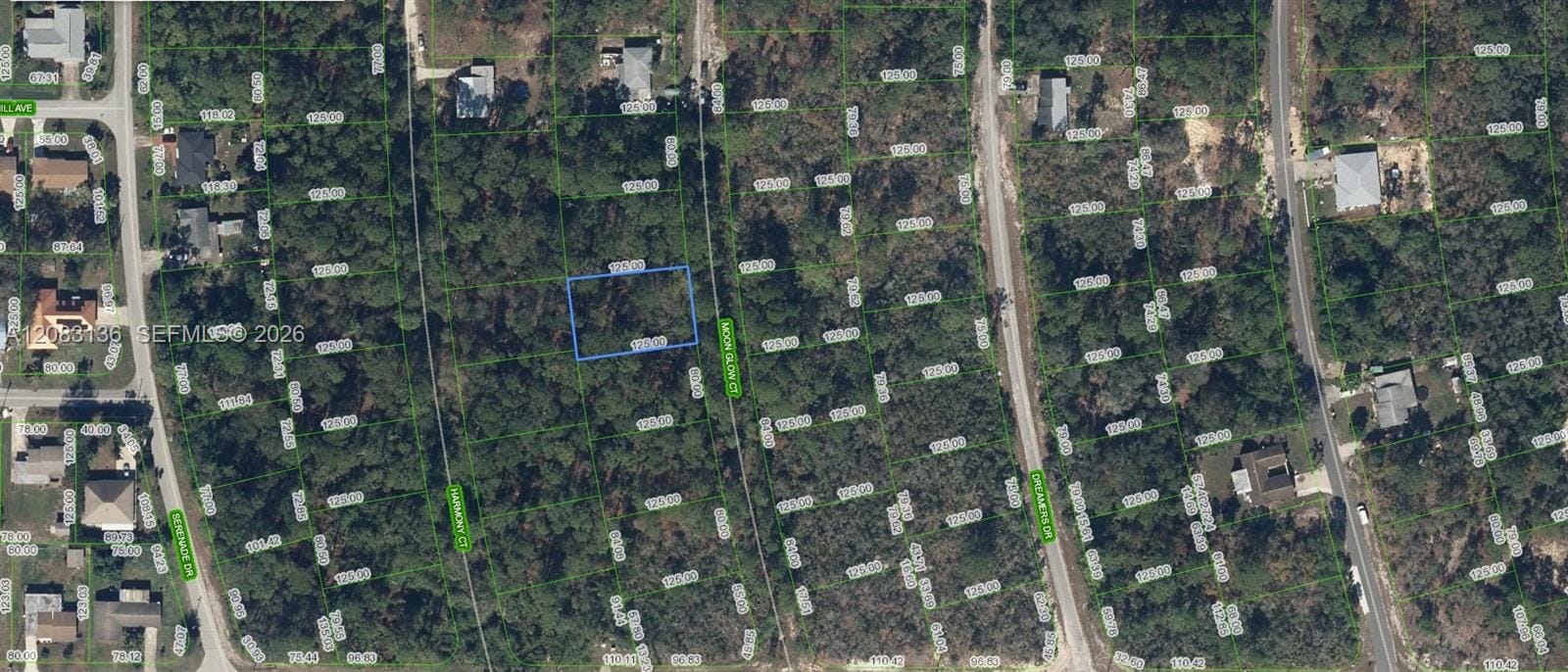 218 Moon Glow Court, Lake Placid, FL 33852