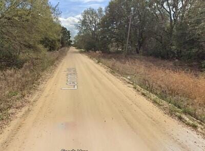 Tba Lenore Avenue, Interlachen, FL 32148 photo 2
