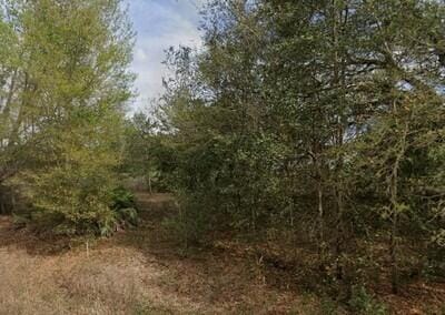 Tba Lenore Avenue, Interlachen, FL 32148