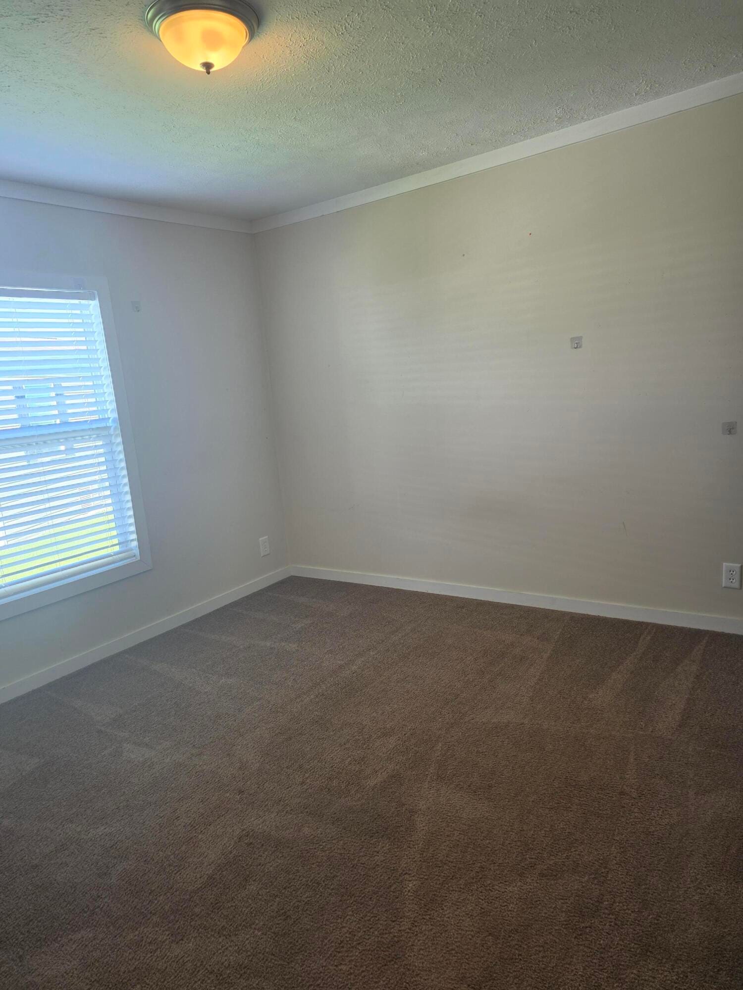 202 Flamingo Avenue, Fort Pierce, FL 34982 photo 12