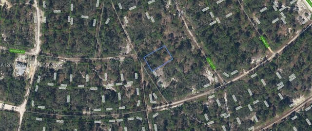 379 Blue Horizon Drive, Lake Placid, FL 33852