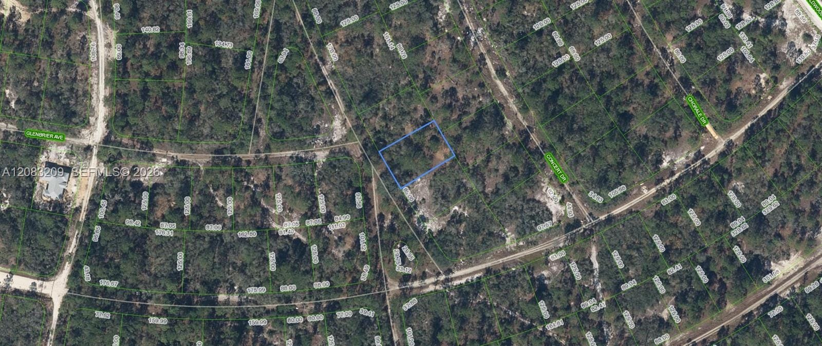 379 Blue Horizon Drive, Lake Placid, FL 33852