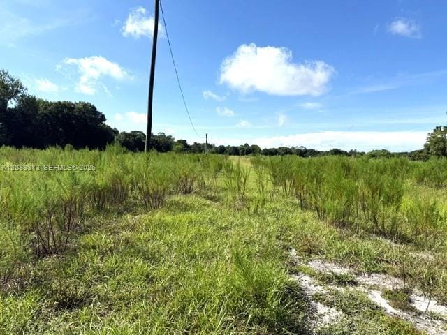 3003 Hicks Road, Lorida, FL 33857 photo 2