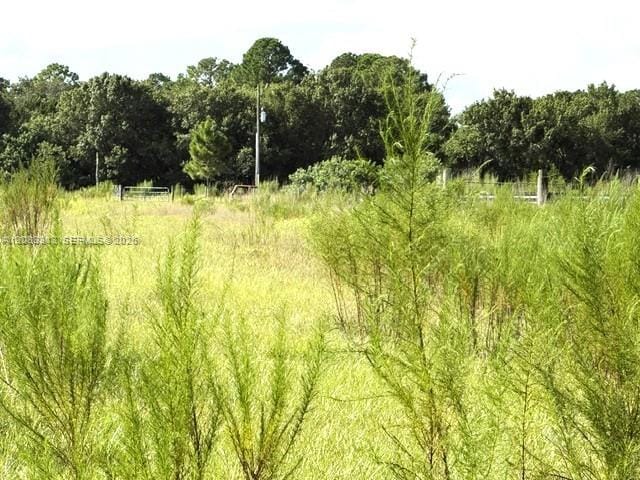 3003 Hicks Road, Lorida, FL 33857 photo 3