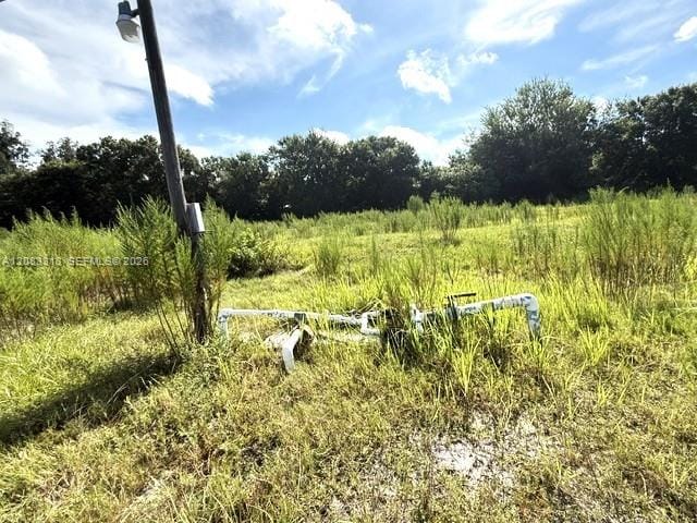 3003 Hicks Road, Lorida, FL 33857 photo 5