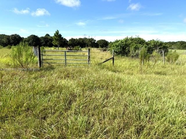 3003 Hicks Road, Lorida, FL 33857 photo 6
