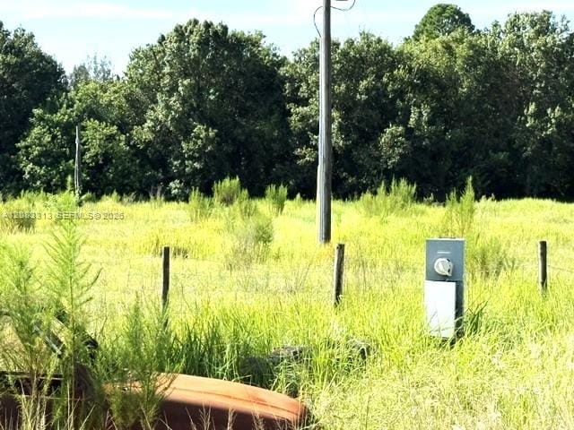 3003 Hicks Road, Lorida, FL 33857 photo 9