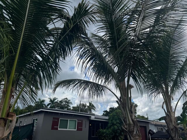 3340 SW 20TH Court, Fort Lauderdale, FL 33312
