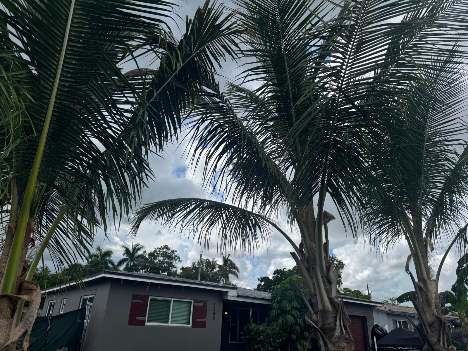 3340 SW 20TH Court, Fort Lauderdale, FL 33312 photo 12