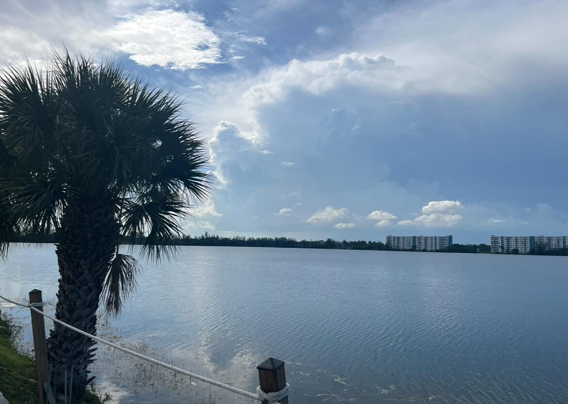 114 LAKE EMERALD Drive 401 — photo 3