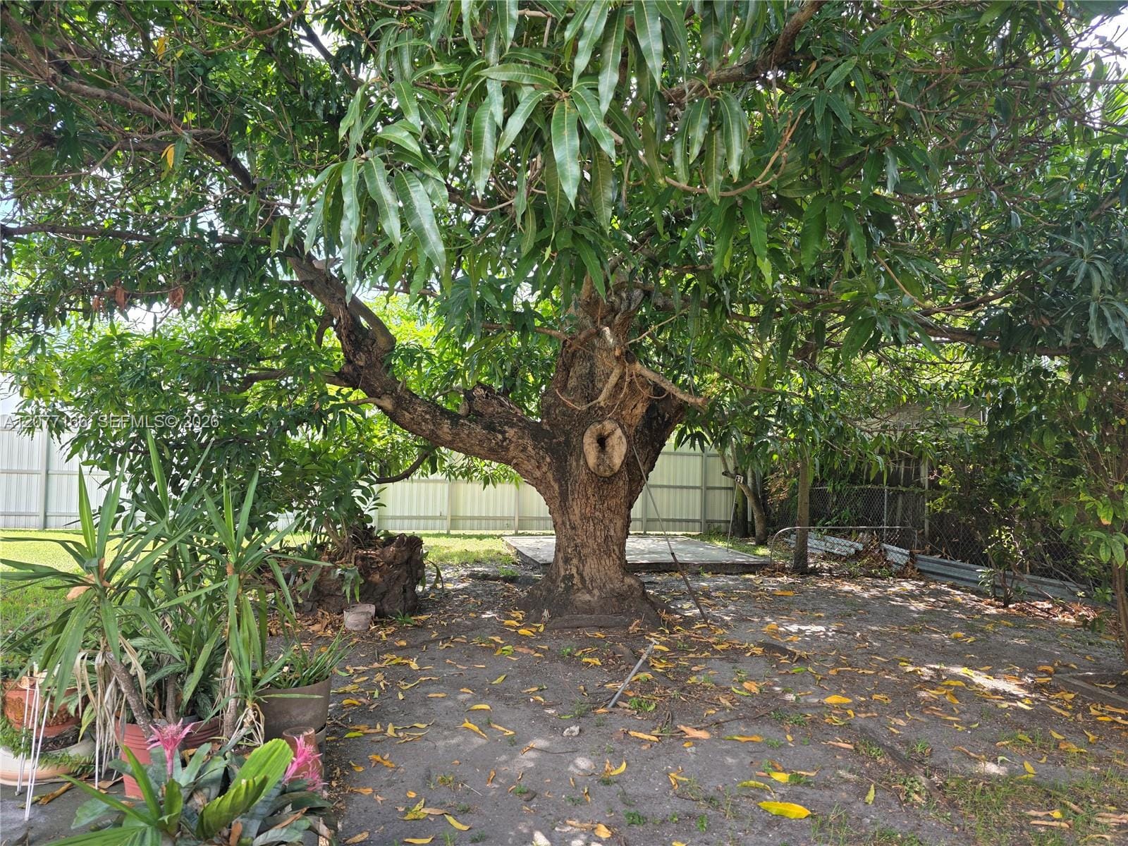 3070 NW 6th Street, Miami, FL 33125 photo 25