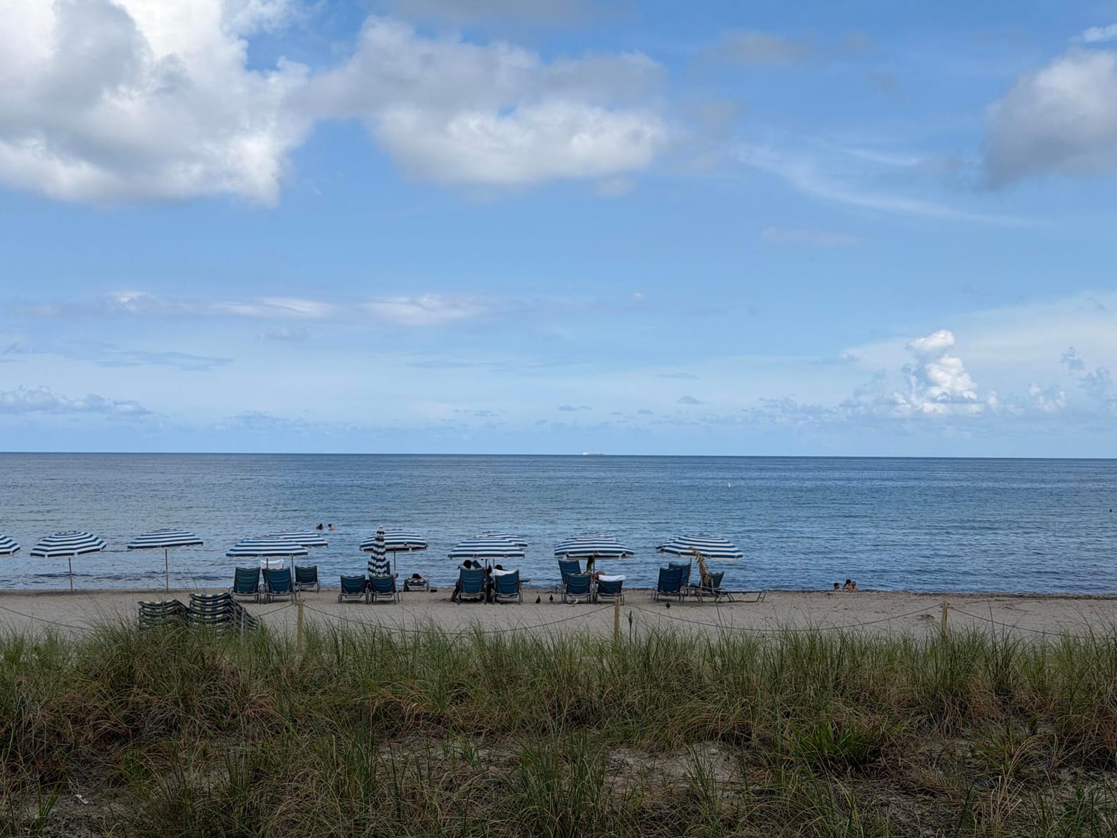 2600 E HALLANDALE BEACH Boulevard T3210 — photo 4