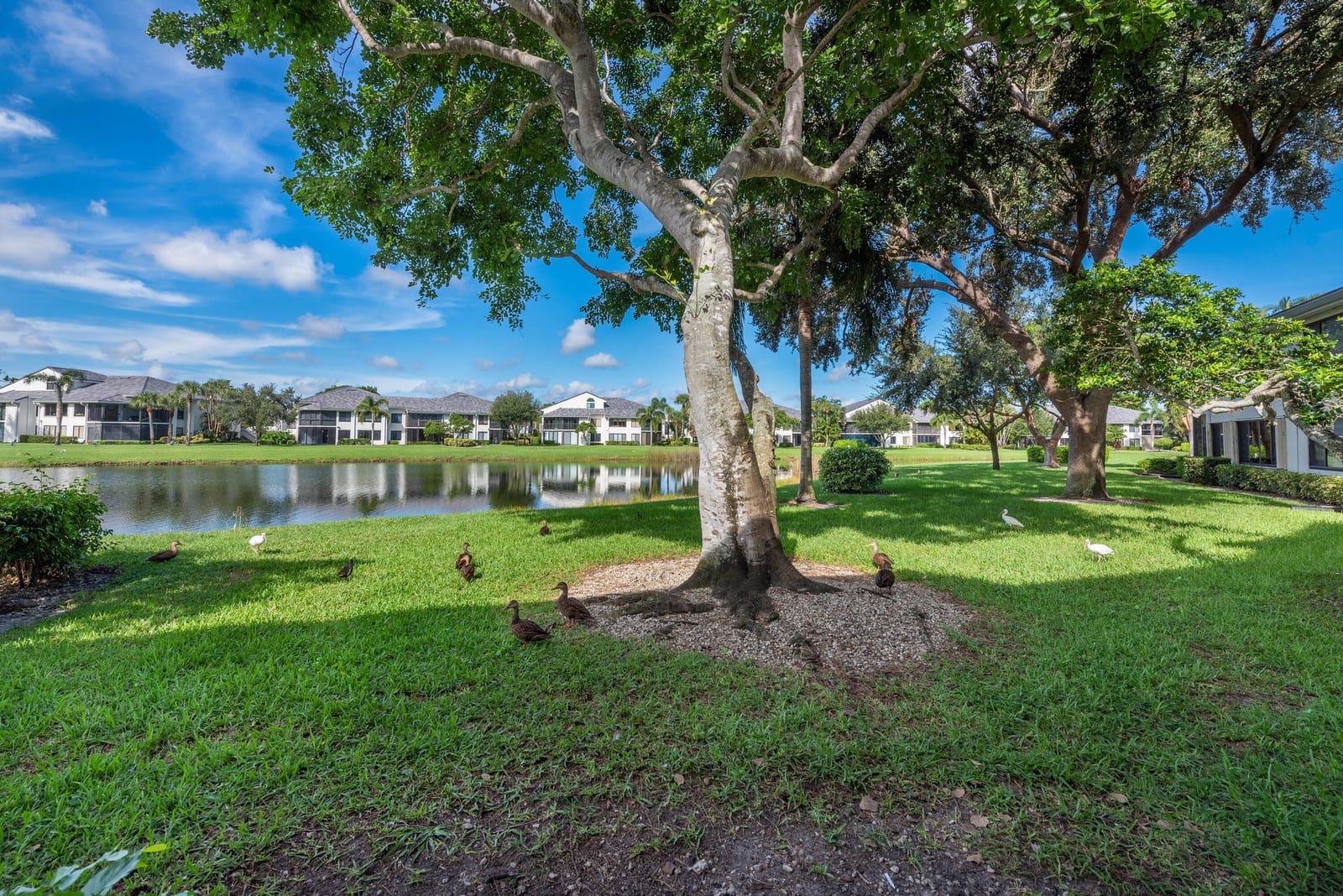 7418 Victory Lane 9802, Delray Beach, FL 33446 photo 16